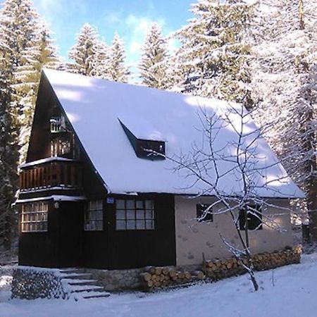 Enchanted Forest Chalet تاترانسكا ستربا المظهر الخارجي الصورة
