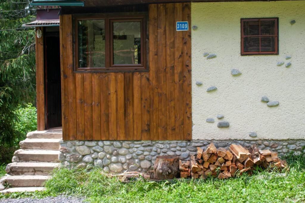 Enchanted Forest Chalet تاترانسكا ستربا المظهر الخارجي الصورة