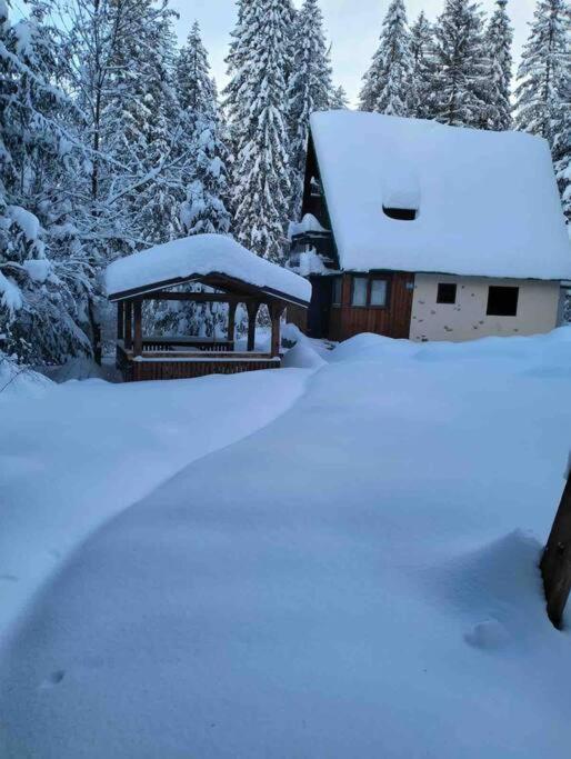 Enchanted Forest Chalet تاترانسكا ستربا المظهر الخارجي الصورة