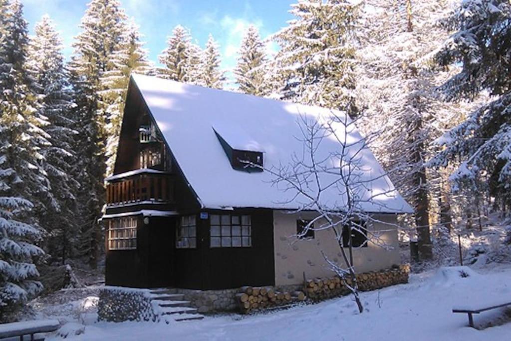 Enchanted Forest Chalet تاترانسكا ستربا المظهر الخارجي الصورة